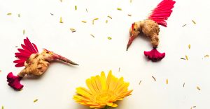 In Pics: Bengaluru Woman Transforms Fallen Petals, Leaves Into Stunning 3D Art!