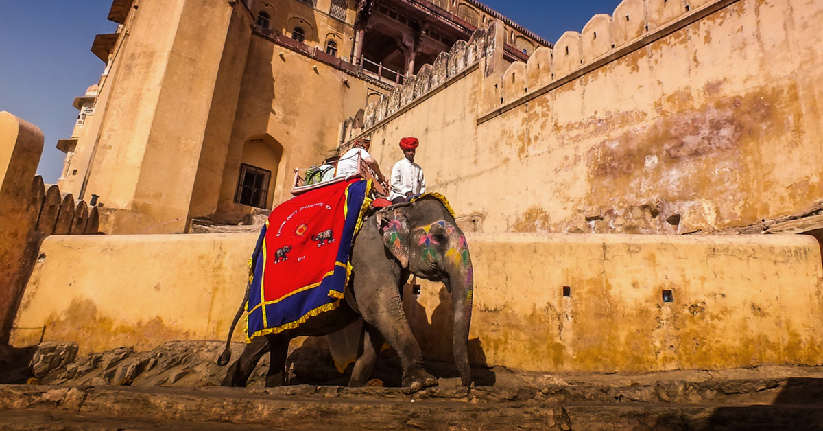 How a 10-Year-Old Elephant Found a Guardian Angel in Rajasthan’s Judiciary