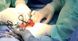 Rs 5L for Family, Rs 50,000 for Hospital: Centre Proposes Cash Prize for Organ Donors!