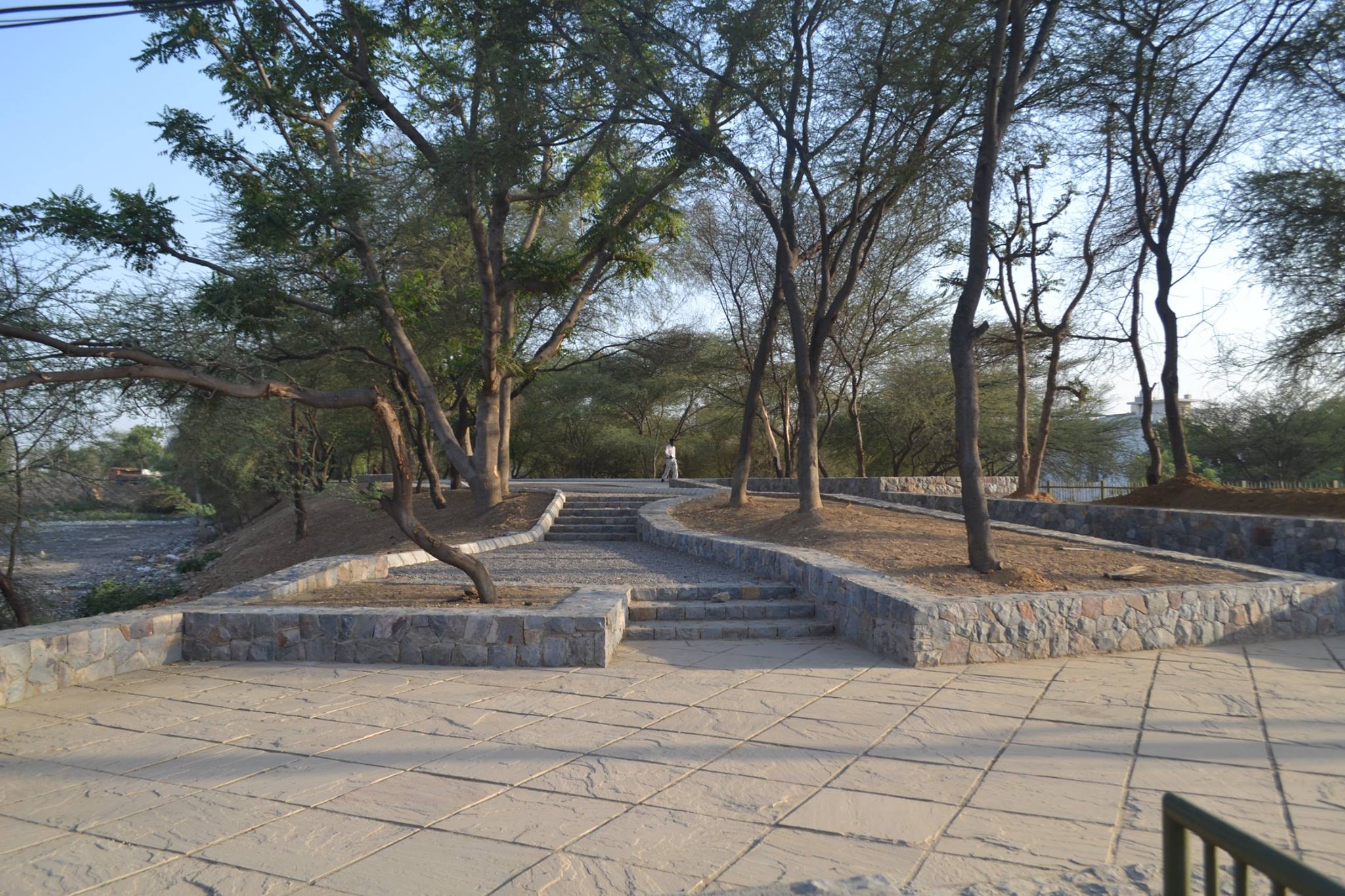 Gurugram biodiversity park (1)