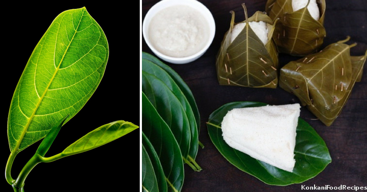 Native Indian Leaves You Can Eat From 5