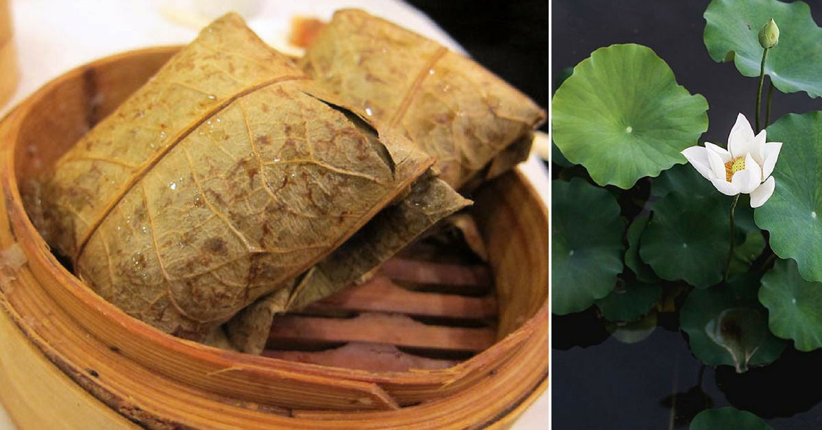 Native Indian Leaves You Can Eat From 5