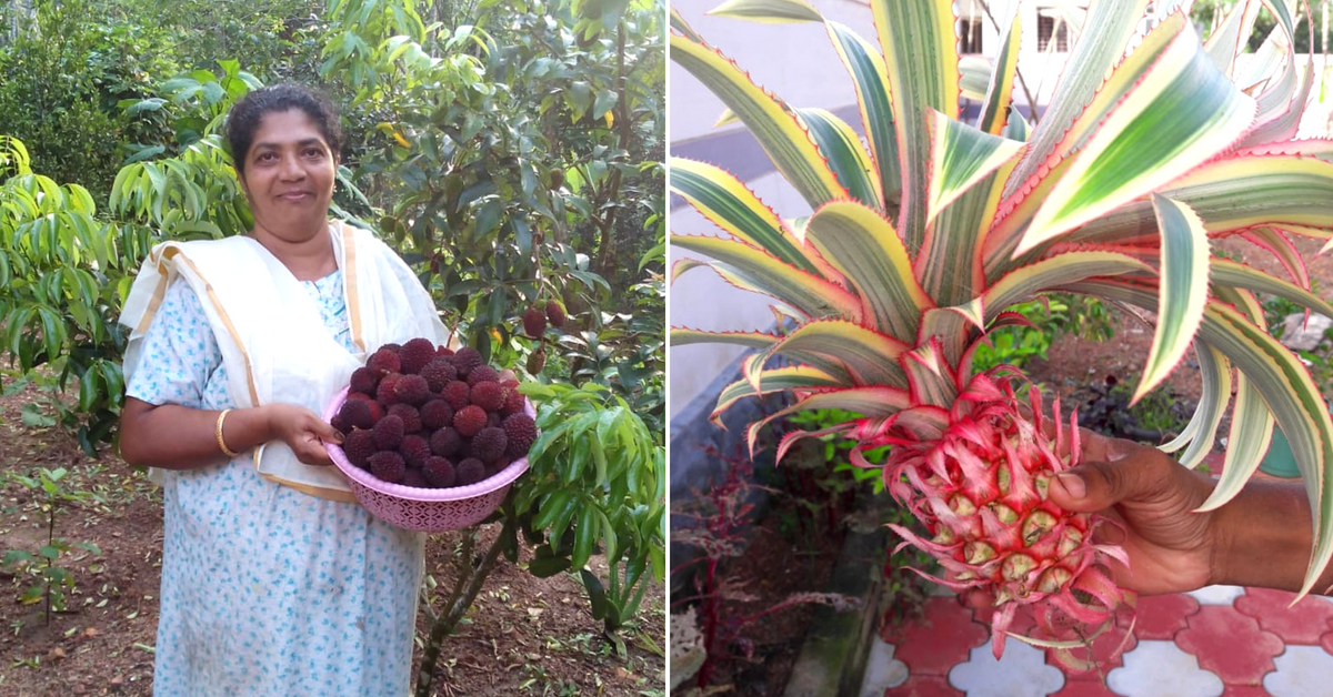 350 fruits & a Mother's legacy The touching story of a Kerala farm
