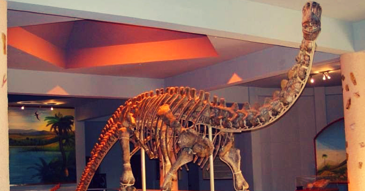 Indian Dinosaurs Are Making a Quirky ‘Comeback’, Thanks to This Woman!