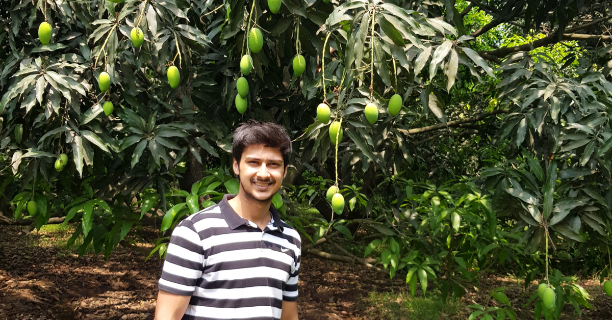 Earning in Lakhs, This 23-YO Engineer is UP’s Sole Certified Organic Mango Farmer!