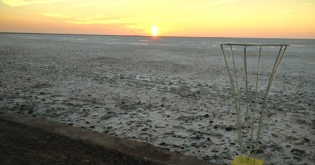 The great Rann of Kutch, India, stretches for miles. Image Credit: Souvik Ghosh