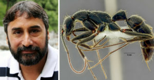 This Desi 'Ant Man' Just Got a Species Named After Him!