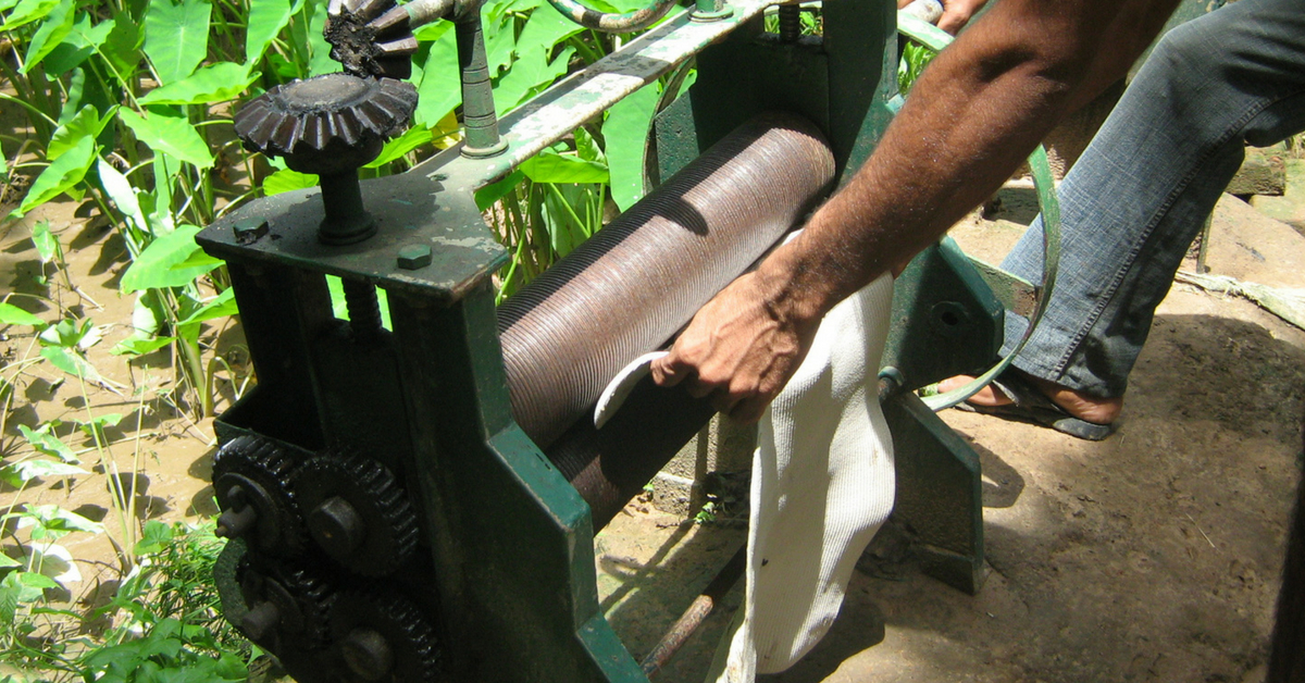IIT Mandi Finds Eco-Friendly Way To Dispose Rubber Waste & All It Needs Is Bacteria!