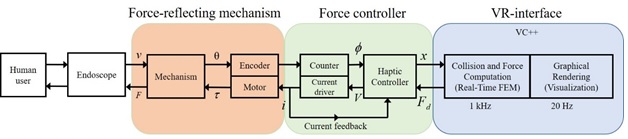 working of endomimyk flow chart