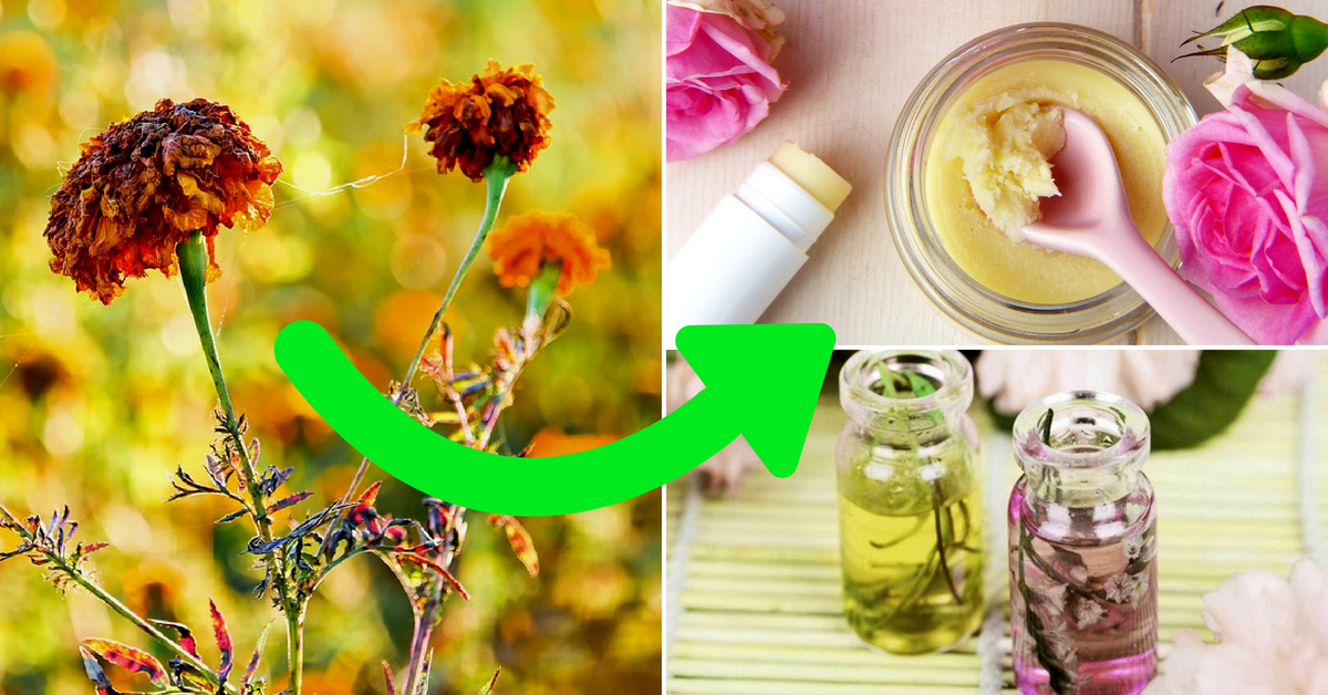 Wilting Flowers ≠ Waste: 5 Smart & Simple Home Hacks to Reuse Leftover Blossoms!