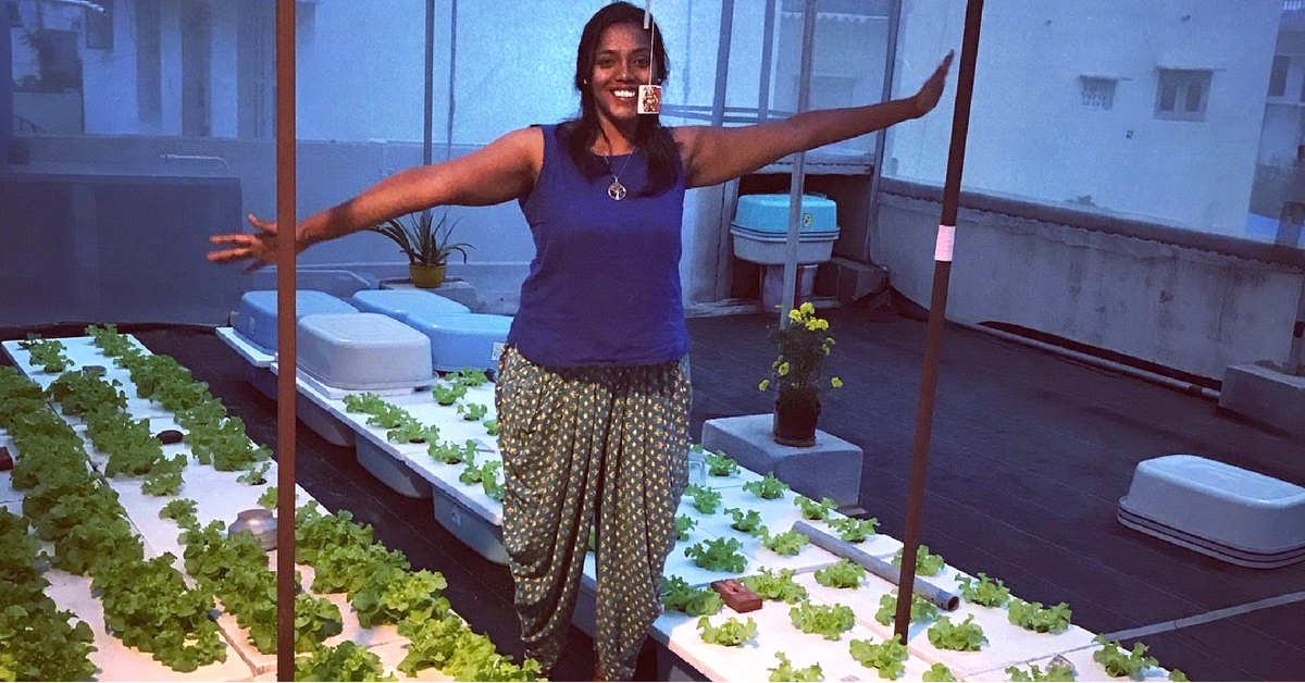 Want to Grow Leafy Greens On Your Terrace? Bengaluru Lady Will Help You Do So!