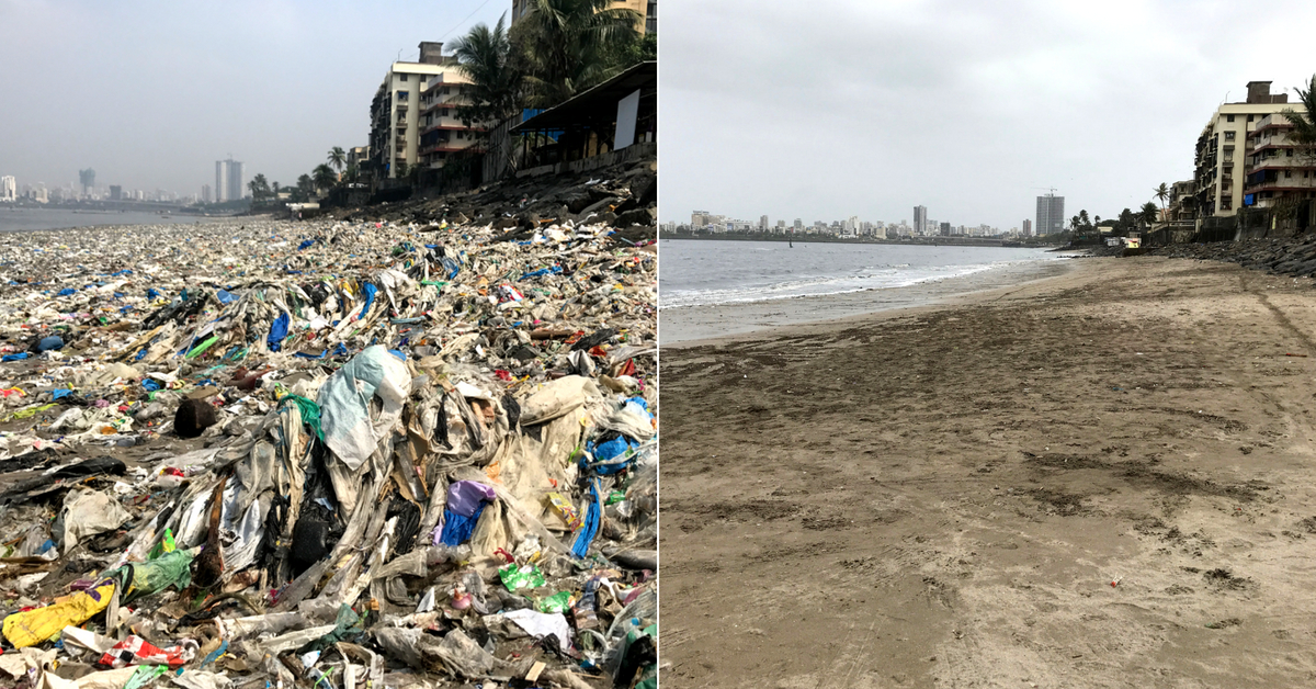 Clearing 500+ Tonnes of Garbage, Mumbai Couple Keeps Mahim Beach 'Alive'! (1)