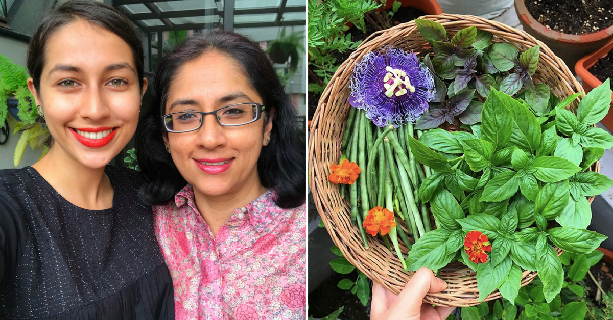 From 6 Types of Basil to Passion Fruit, Kochi Woman’s Edible Garden Has It All!