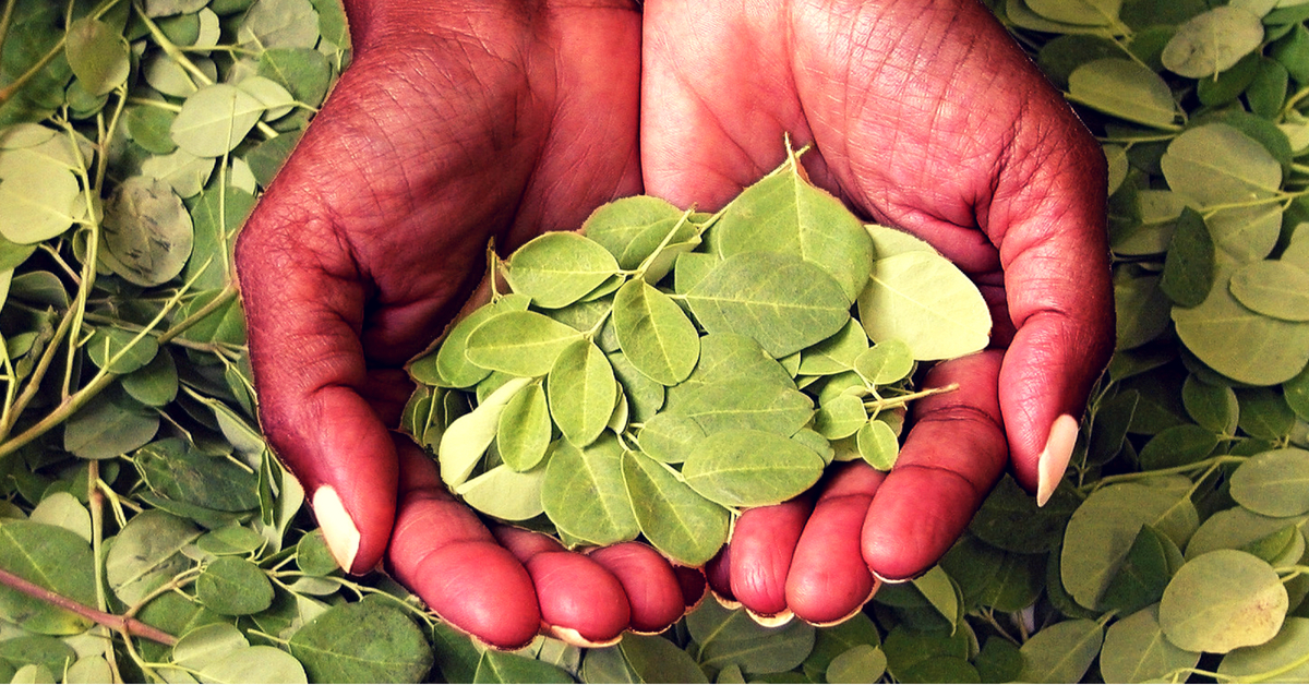 Gujarat Govt. Will Soon Be Using This Desi Superfood to Fight Malnutrition!