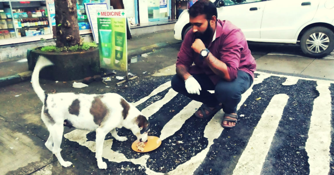 In Pics How to Feed 150 Stray Dogs in Mumbai Every Day? Roti Ghar