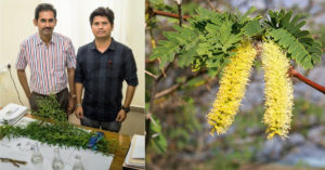 Weed That Treats Polluted Water? IIT-M Develops Low-Cost Way To Remove Toxins!