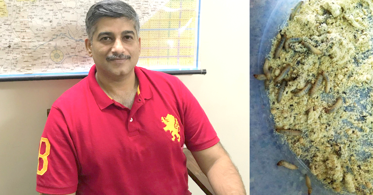 Pune Man May Have Found Solution to Trash Troubles: Caterpillars That Munch Plastic!