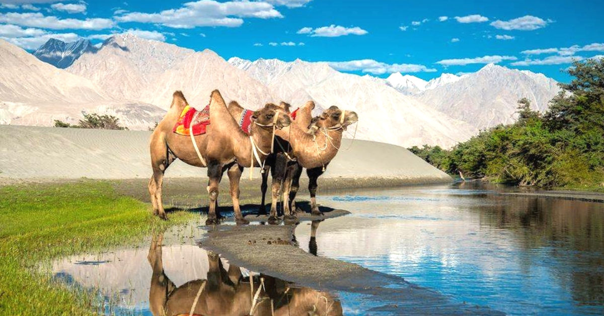 Tales Of A Nomad: Nubra Valley- The Pretty Land in Ladakh