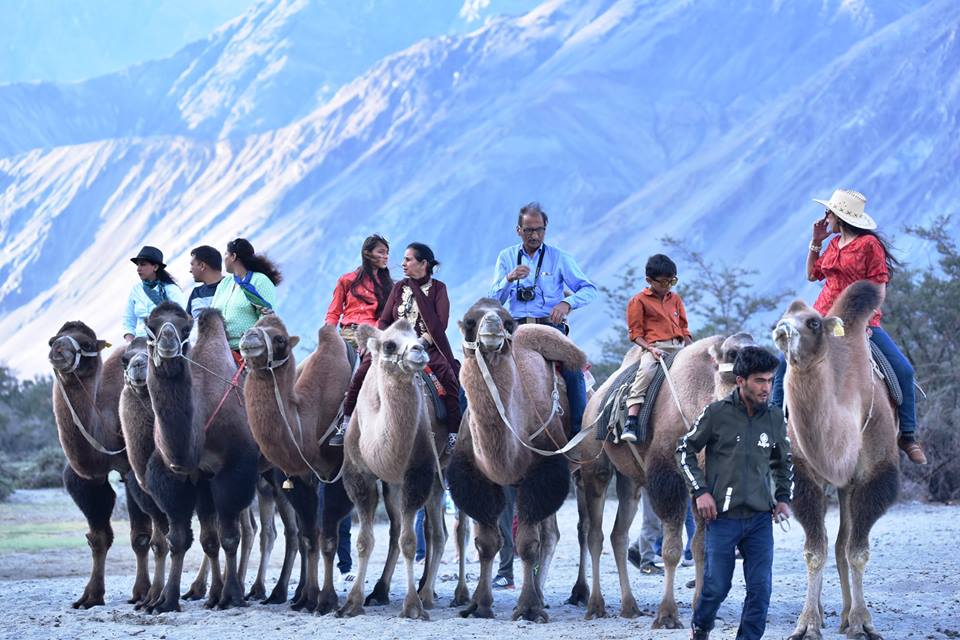 Tourists on their camel safari. (Source: Facebook/Udaya Rita Lokre) 