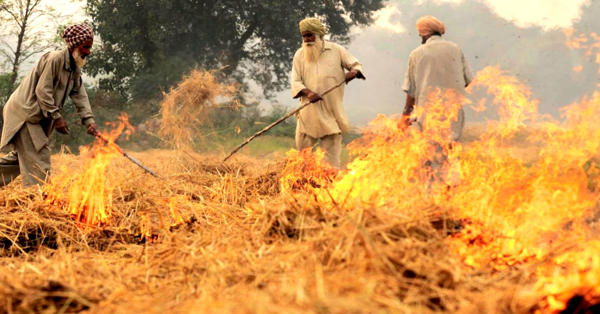 Farmers burning crop stubble. (Source: Wikimedia Commons)