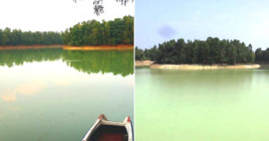 Revived After 50 Years: Small Town's Water Saving Efforts Are a Lesson to All of India