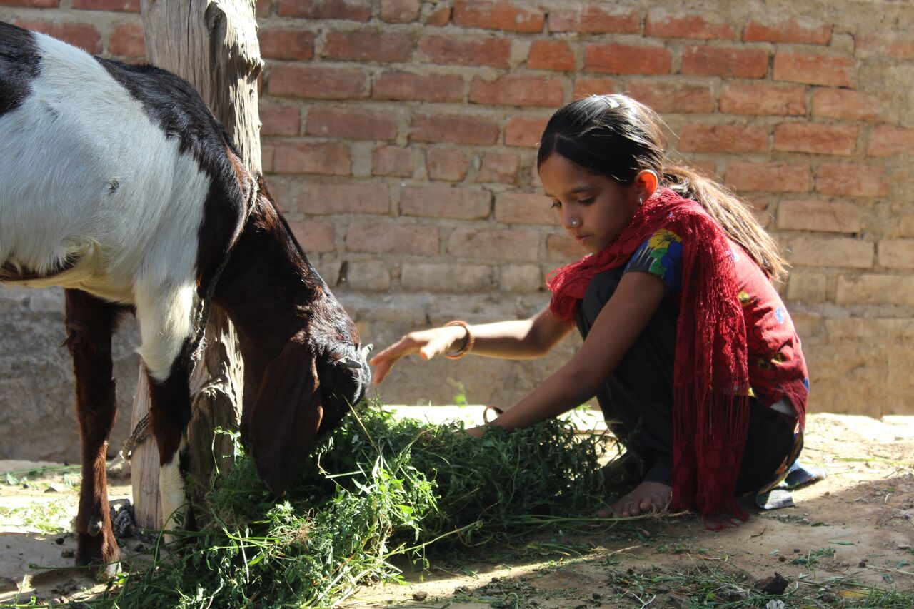  How India's First Development Impact Bond Transformed the Lives of over 7000 Rural Kids