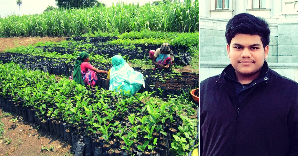 Delhi Teen Helps Grow 6000+ Trees, Raise Farmer Incomes in Vidarbha by 25%!