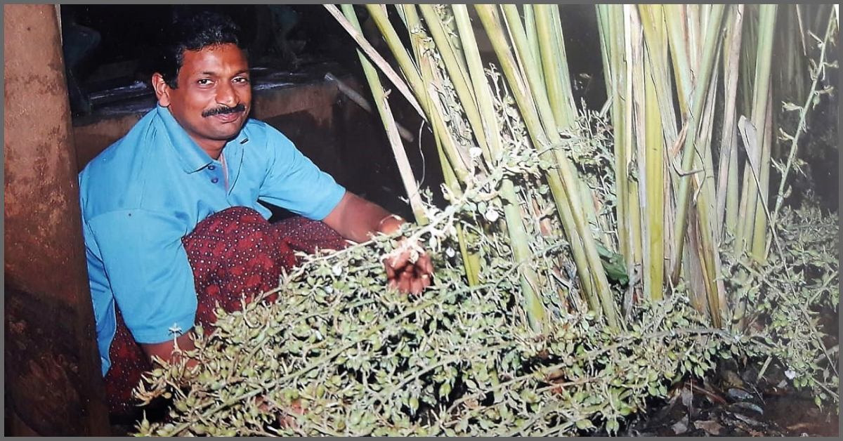 3-Feet-Long Carrots to Cauliflowers that Weigh 25 kg! Meet 4 Innovative Farmers