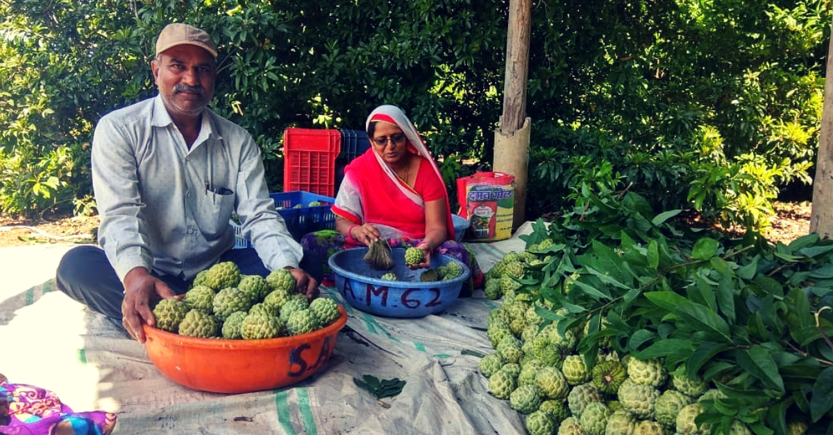 MP Woman Turns Organic Farmer, Helps Village Go Chemical-Free & Now Earns Lakhs!