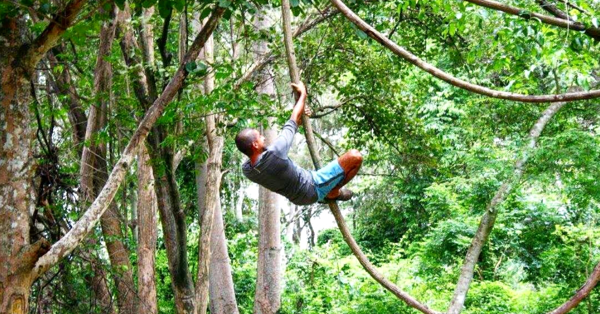 This Malayali NRI Left His Job to Look After A 15-Acre Forest Paradise in Thailand!