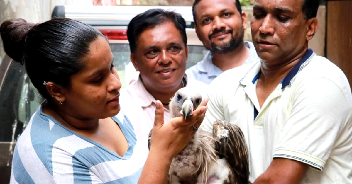 Mumbai Family Nurses Injured Vulture For 9 Months, Helps Him Return To Wild!
