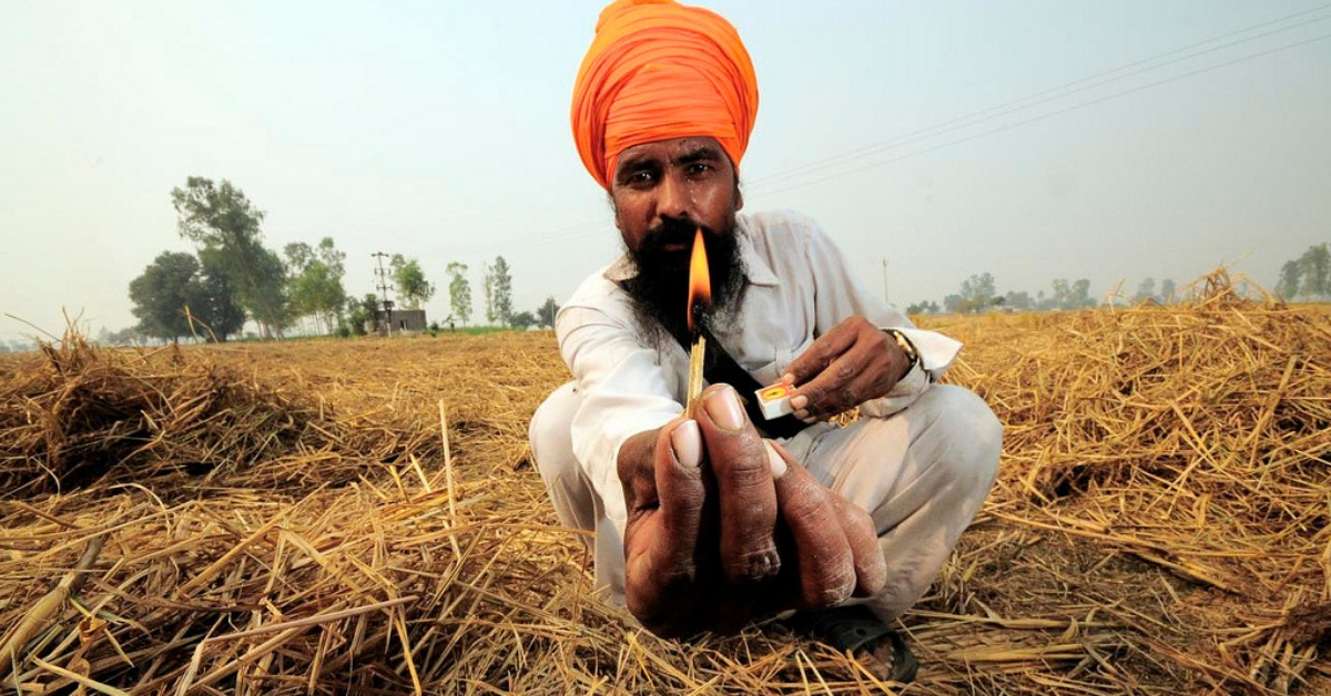 Green Plates from Paddy Stubble: IIT-D Innovation Fights Pollution While Making Farmers Richer!