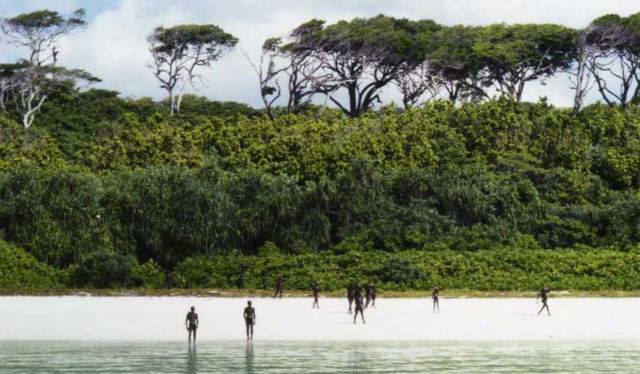 Sentinelese islanders on the shore standing at a distance. (Source: Facebook/Andaman & Nicobar Islands)