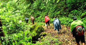 Heading to the Jungle? 5 Tips You Should Keep in Mind to Have a Happy & Green Trek