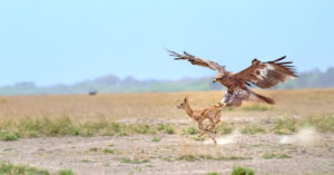 Showcasing India's Natural Heritage, 3 Jaw-Dropping Photos Will Leave You Wowed!
