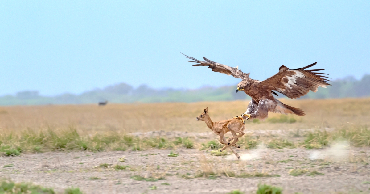 Showcasing India’s Natural Heritage, 3 Jaw-Dropping Photos Will Leave You Wowed!