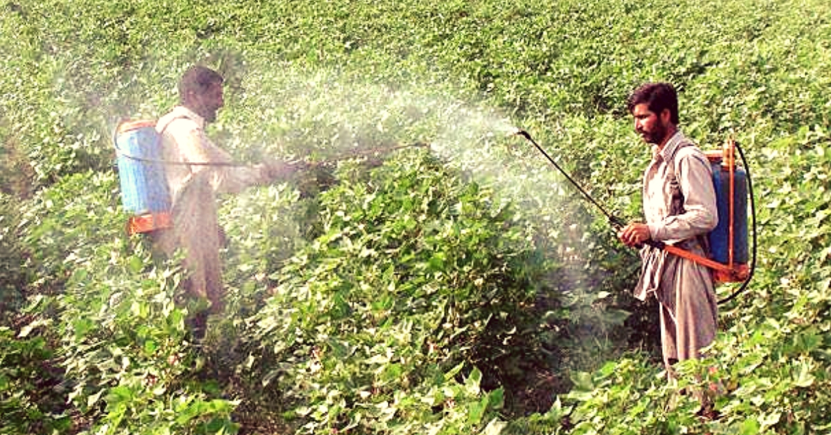 Farmers First: How Maharashtra Cut Pesticide Poisoning Deaths From 62 to 2 In Just a Year!