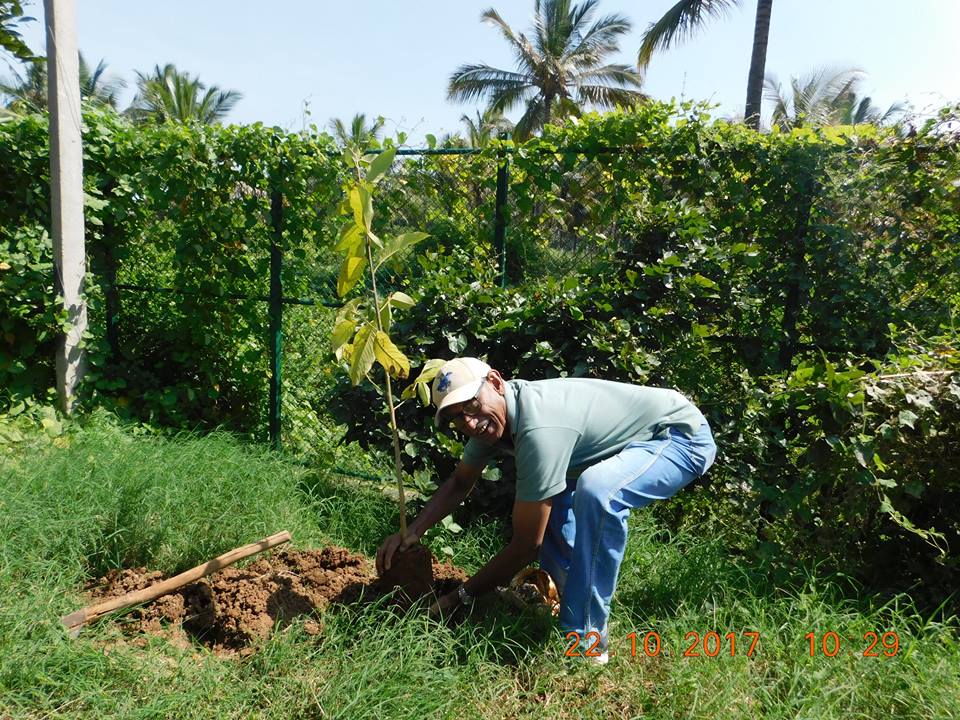 Citizens Turn Bengaluru's Jakkur Lake into Eco-Zone With These Herbs ...