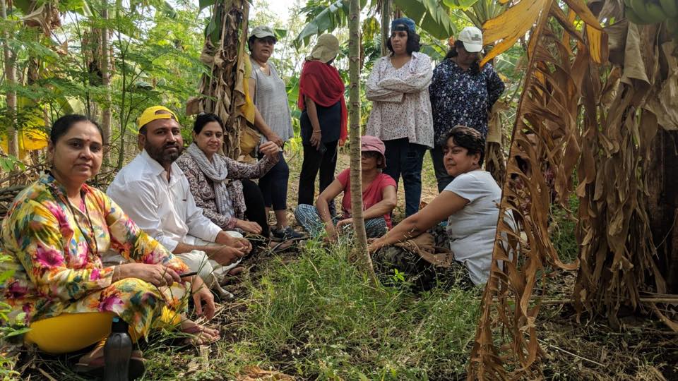 Pune brothers quit high-paying jobs for organic farming, Earn Rs 30 lakh turnover per month!