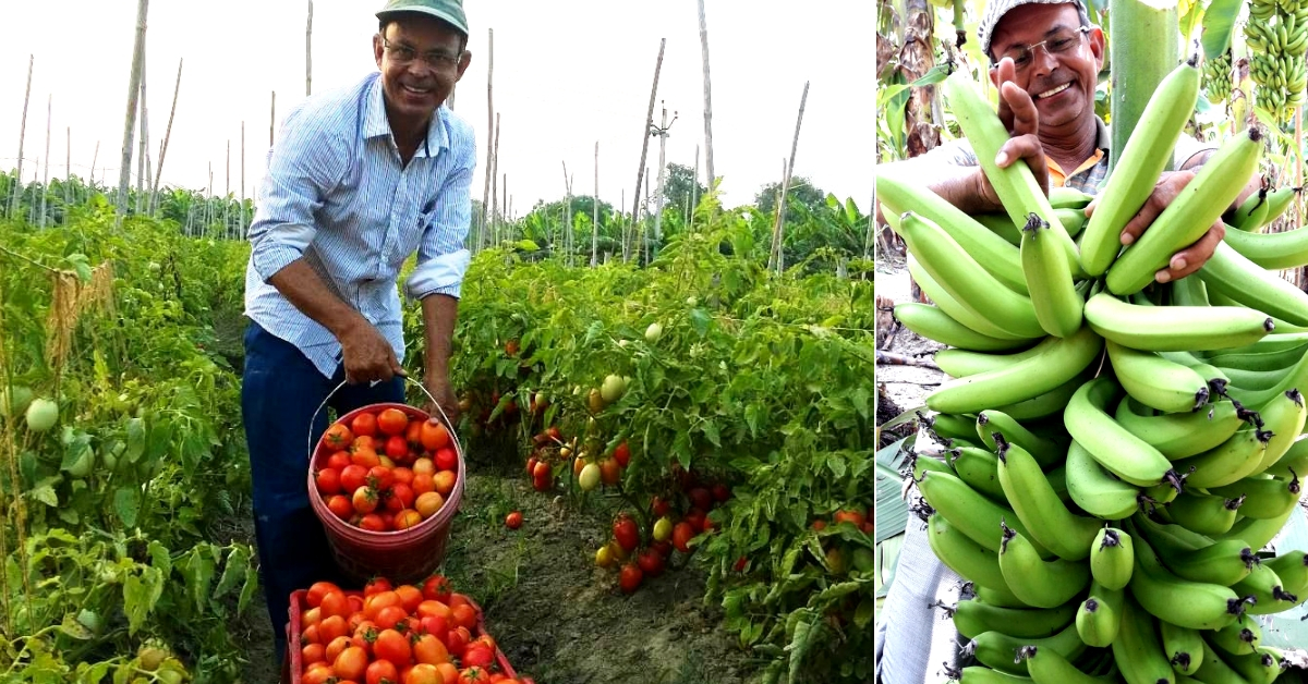 Exclusive: UP's Award-Winning Banana King Earns 48 Lakh/Year, Becomes Idol For Farmers!