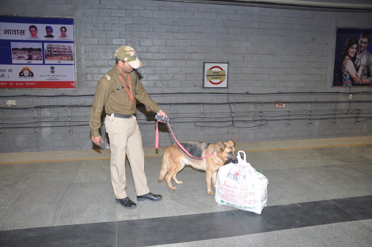 This picture of a CISF personnel using a dog to sniff out suspicious packages may become a thing of the past. (Source: Twitter/CISF)