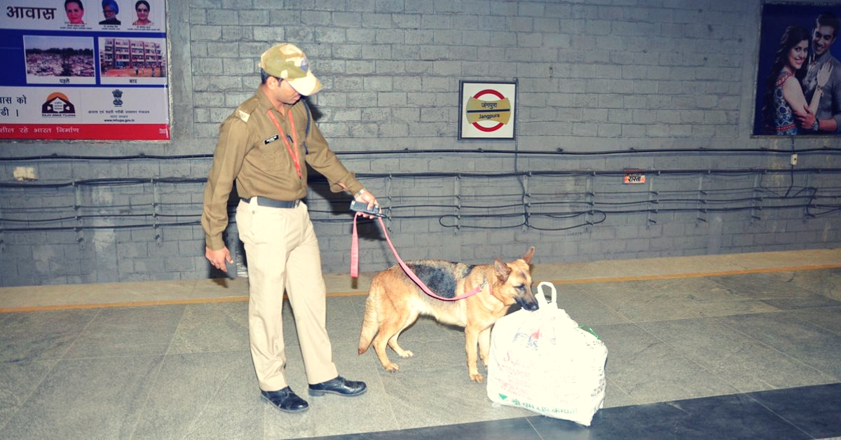 Ready for Robotic Canines? Sniffer Dogs at Airports May Soon Be a Thing of The Past!