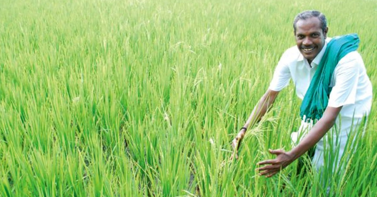 Tribute: ‘Nel’ Jayaraman, The Crusader Who Revived 170+ Native Paddy Varieties!