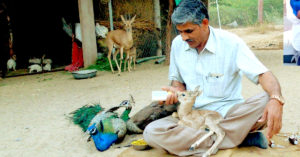 This Roadside Mechanic from Rajasthan Has Rescued Over 1,180 Injured Wild Animals!