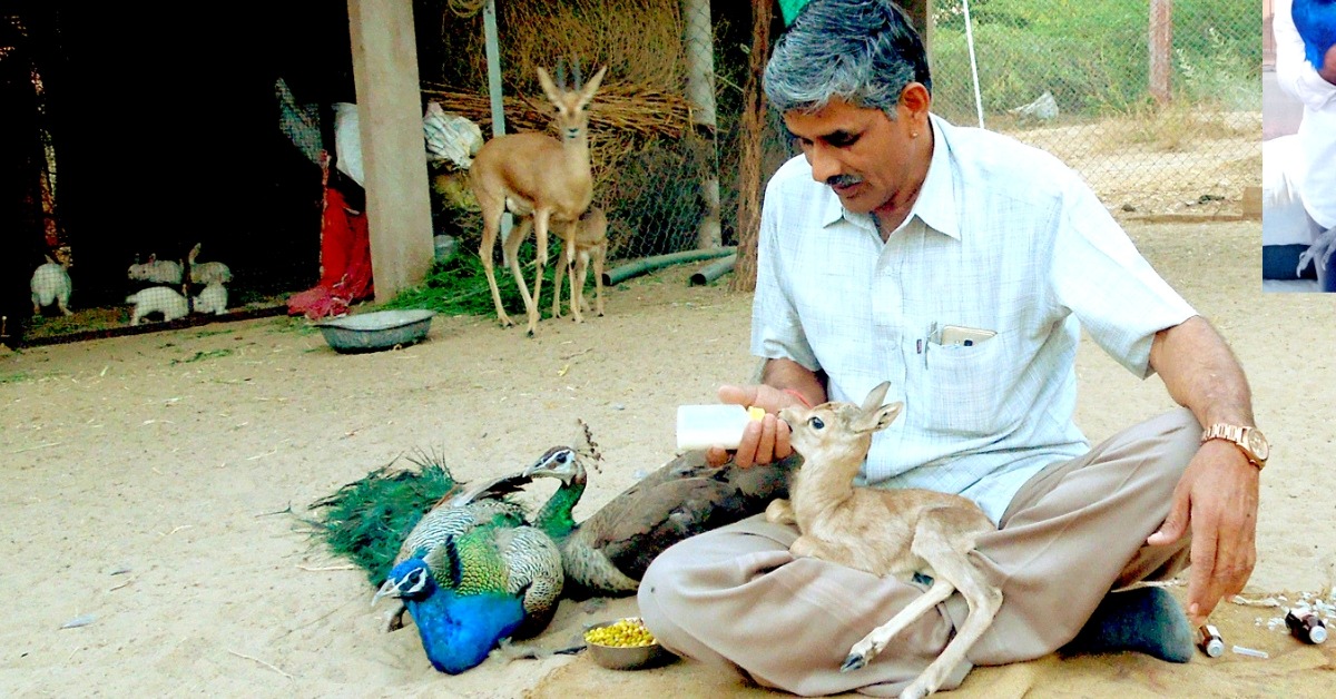 Mechanic from Rajasthan Has Rescued Over 1,180 Injured Wild Animals!