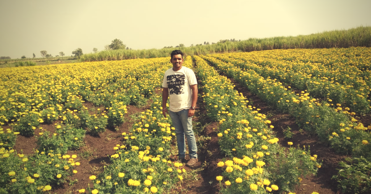 As an engineer, he earned ₹6.5 Lakh. As a farmer, ₹20 Lakh!