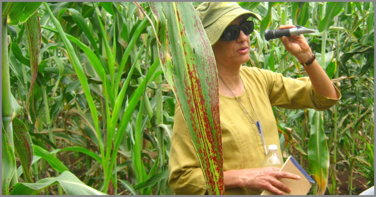 From Food to Fodder, Here’s How This Magic Plant Can Take Care of Our Needs