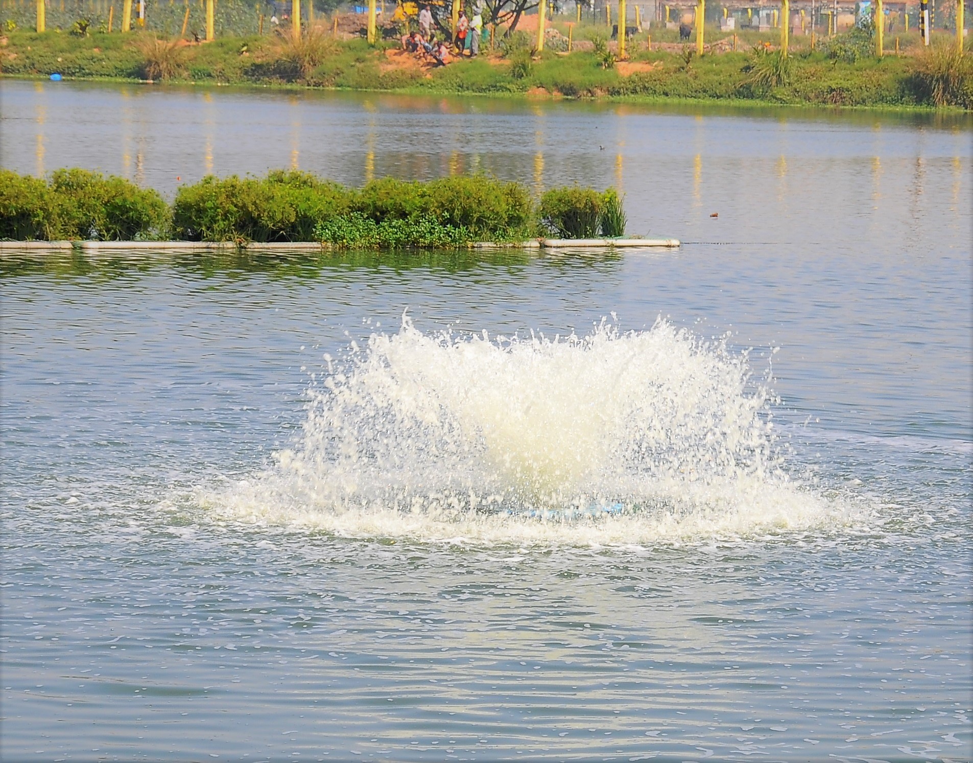 Energy-efficient cascading aerators at work. 