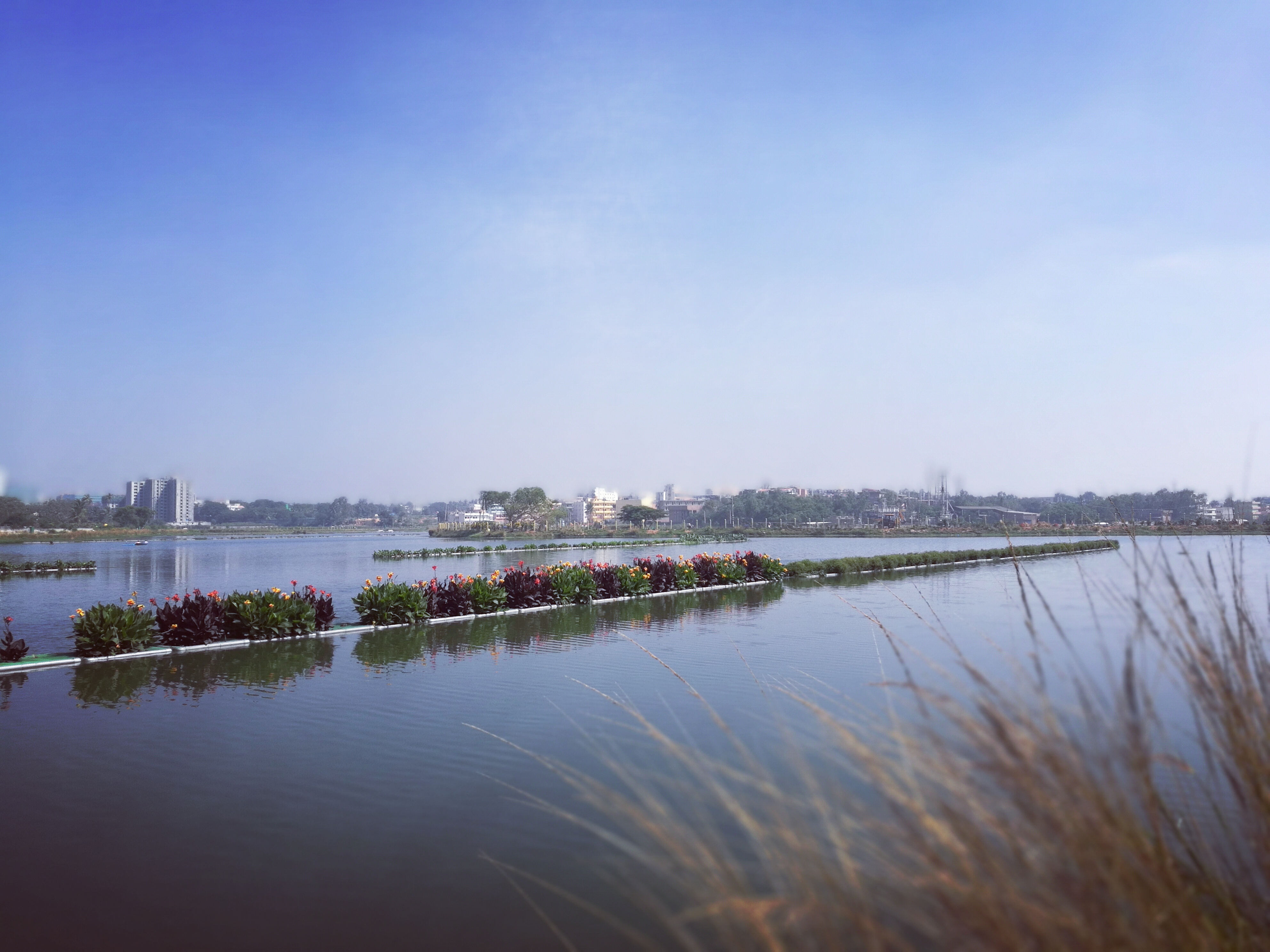 Floating wetlands