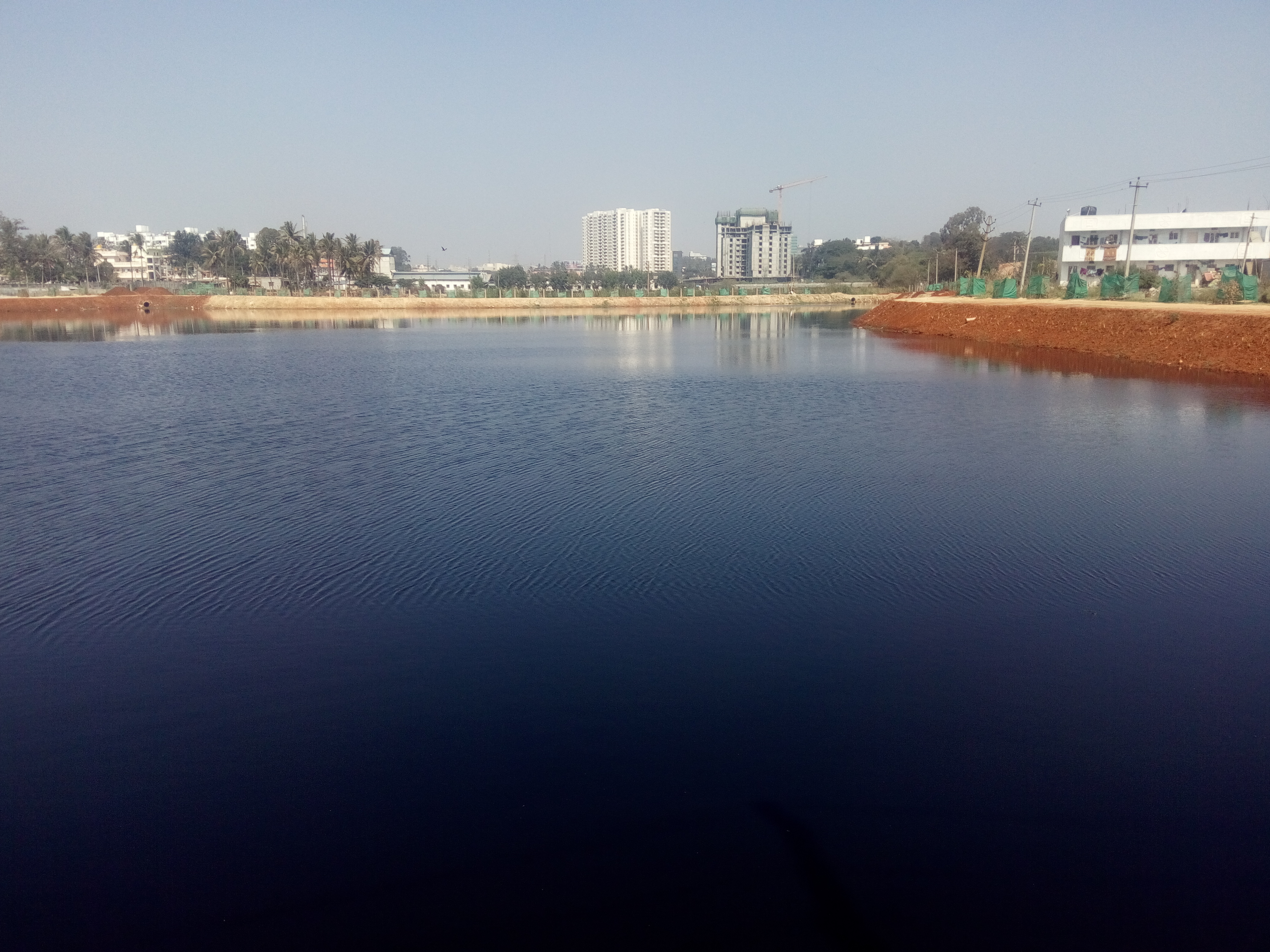 After clearing the weeds, and constructing the bund.